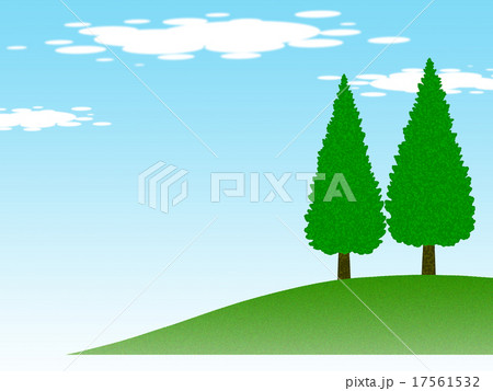 丘の上のメタセコイア 17561532