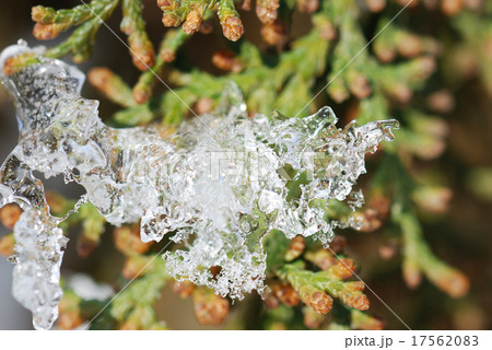 Macro photo of bright ice background 17562083