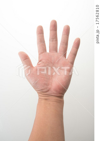 手のひら 17562810