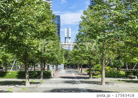 品川セントラルガーデン 品川セントラルガーデン 17563416