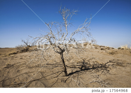 Landscapes in the desert, wonderful saturated  17564968