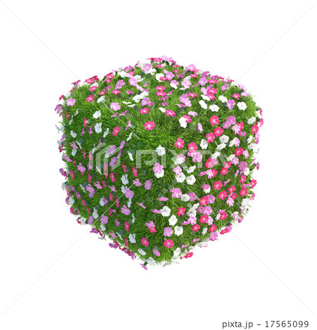 Cube of fresh green grass with flowers isolated on Cube of fresh green grass with flowers isolated on 17565099
