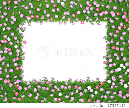 Frame of green grass with flowers isolated on Frame of green grass with flowers isolated on 17565112