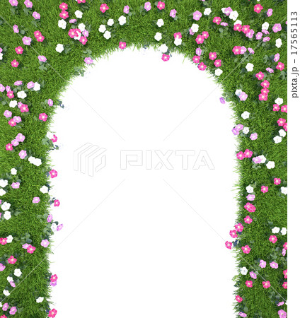 Frame of green grass with flowers isolated on Frame of green grass with flowers isolated on 17565113