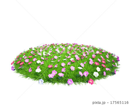 Fresh Green Grass Piece With Flowers Of Landのイラスト素材