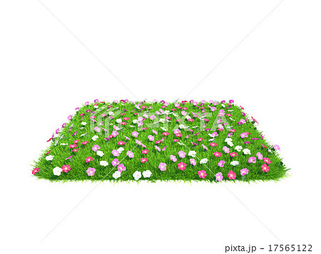 Fresh green grass piece with flowers of land 17565122