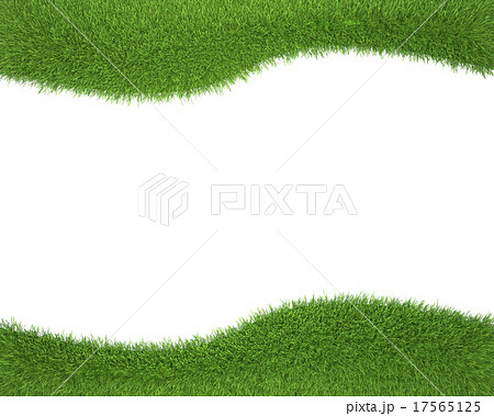 Frame made of green grass isolated on white Frame made of green grass isolated on white 17565125