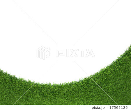 Frame made of green grass isolated on white 17565126