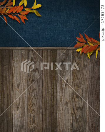 ナチュラル背景 17565472