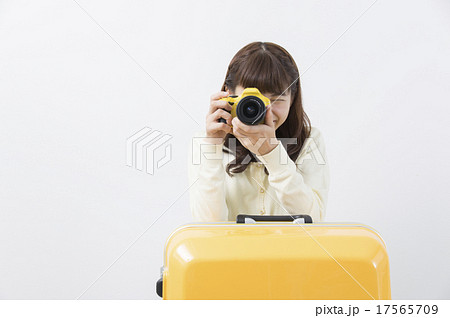 シャッターチャンス 17565709