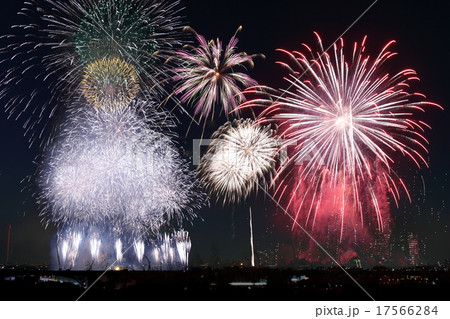 たまがわ花火大会 17566284
