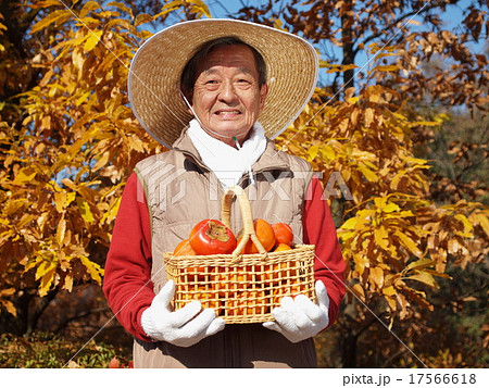 柿を持つ麦わら帽子のおじいさんの写真素材 [17566618] - PIXTA