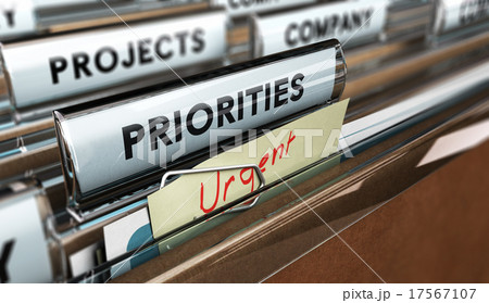 Set Priorities 17567107