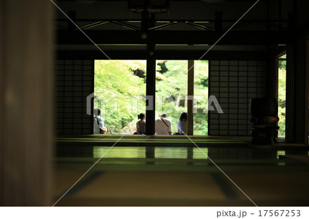 緑が見える和室 17567253