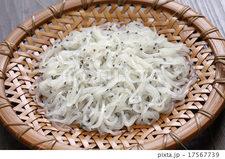 シラウオ 17567739