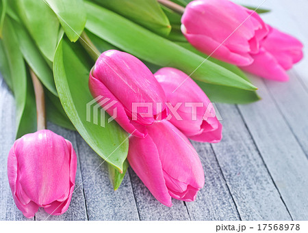 background background 17568978