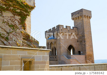 Protecting Olite 17569342