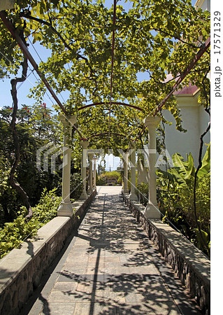 Pergola passage in the garden Pergola passage in the garden 17571329