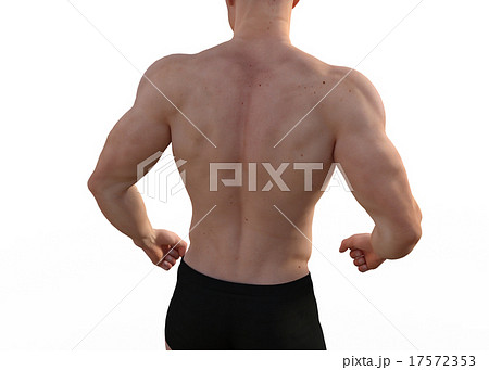 鍛えた躯の男性　perming3DCGイラスト素材 17572353