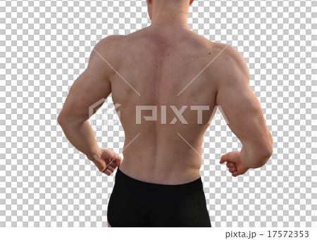 鍛えた躯の男性　perming3DCGイラスト素材 17572353