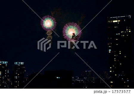 東京湾花火大会 17573577