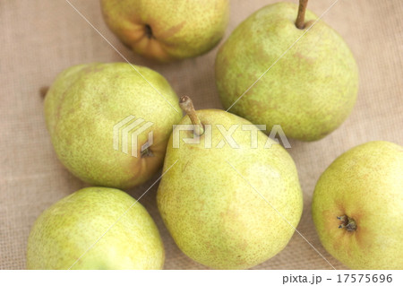 ル　レクチエ 17575696