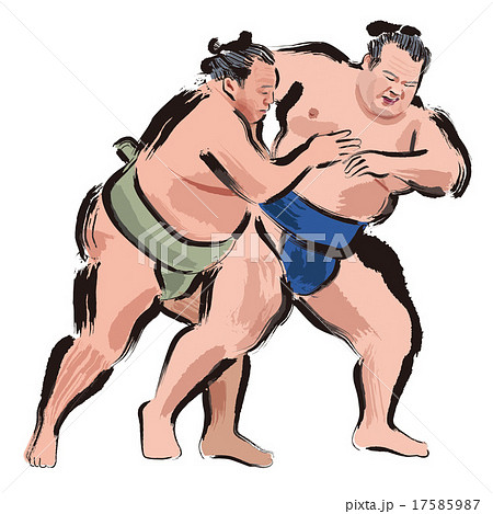 Sumo 13 - Stock Illustration [17585987] - PIXTA