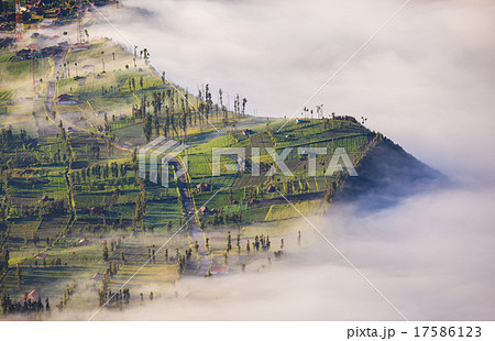Village and Cliff at Bromo Volcano, Indonesia Village and Cliff at Bromo Volcano, Indonesia 17586123