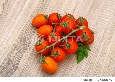 Tomatoes branch 17586675