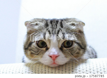 何見てんだよ! 何見てんだよ! 17587785