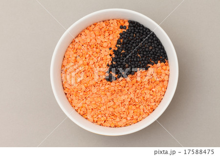 orange and black lentil orange and black lentil 17588475