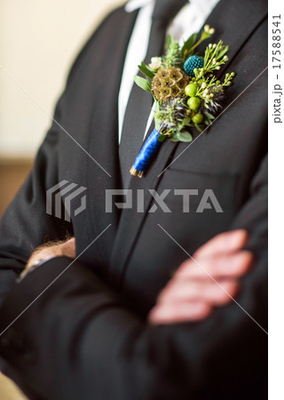 elegant groom elegant groom 17588541