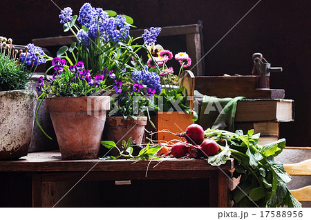 spring flowers 17588956