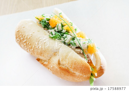 tasty sandwich 17588977