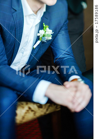 elegant groom elegant groom 17589186