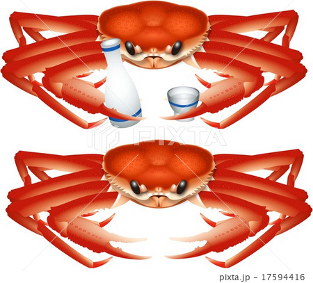 ズワイガニのイラスト素材