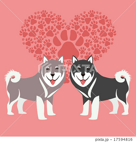 Pet vector Pet vector 17594816
