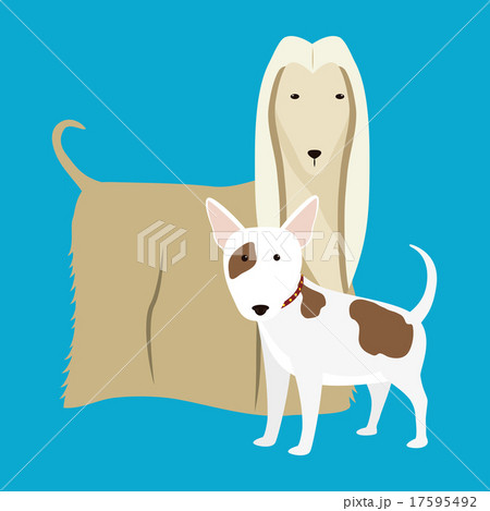 Pet vector Pet vector 17595492