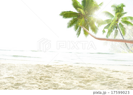 Tropical Beach Peaceful Vacations Summer Concept 17599023