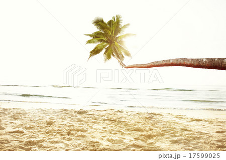 Tropical Beach Peaceful Vacations Summer Concept 17599025