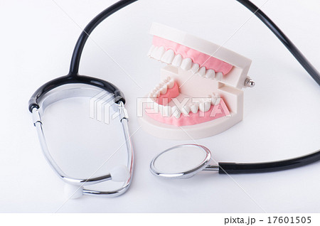 歯の模型 デンタルイメージ 歯の模型 デンタルイメージ 17601505