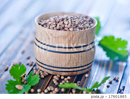 coriander coriander 17601865