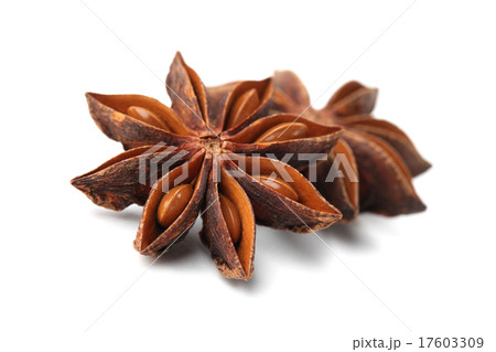 Anise 17603309