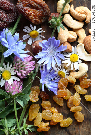 Fruits And Flowers 17604309