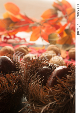 置物の栗と胡桃と紅葉とその他 秋イメージ 置物の栗と胡桃と紅葉とその他 秋イメージ 17605314