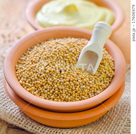 mustard mustard 17606979