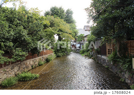 和と白川/京都府京都市 和と白川/京都府京都市 17608024