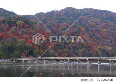 早朝・秋の桂川と嵐山 17608236