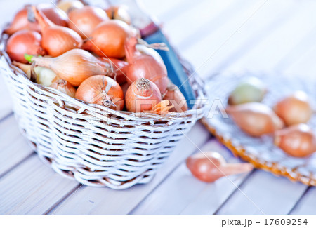 onion onion 17609254