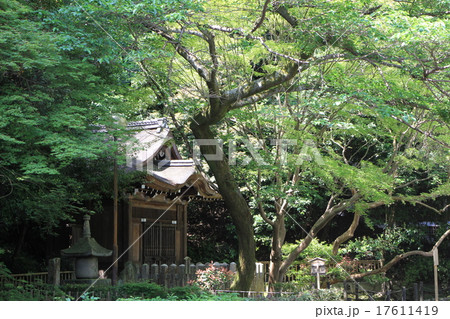 泉涌寺 泉涌寺 17611419